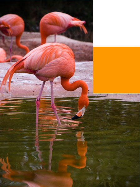 Grande Parque Nacional Península de Zapata