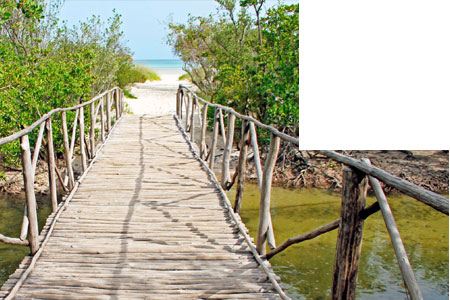 Cayo Coco