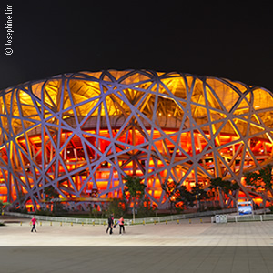 Bird's Nest