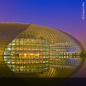 The Egg