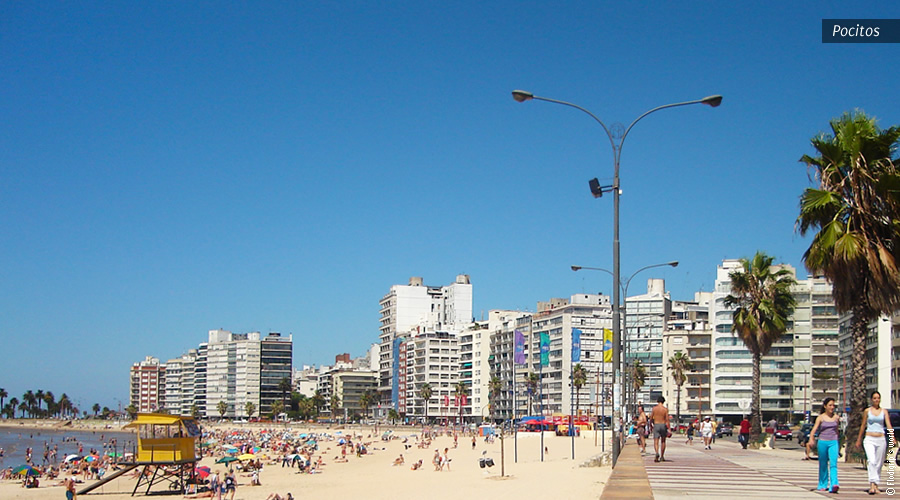 praia de Pocitos