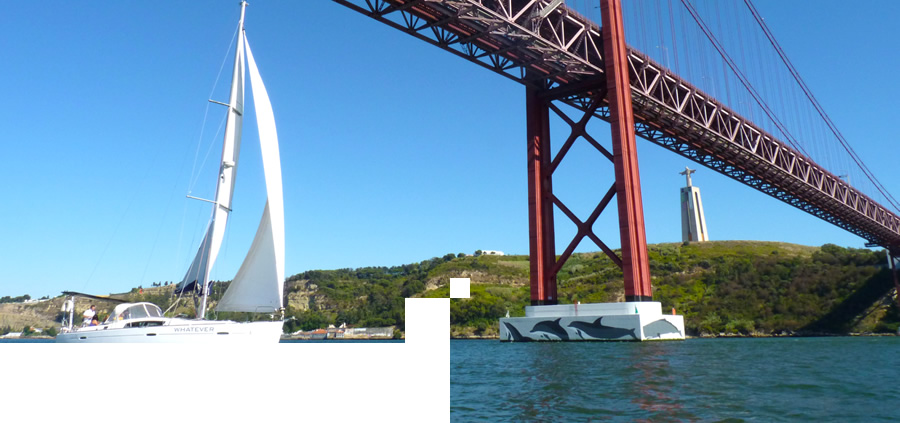 Amar Lisboa ao sabor da brisa e das marés