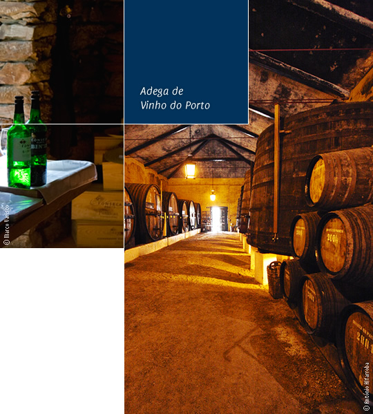 adega Vinho do Porto