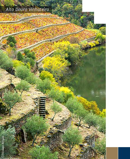 Alto Douro Vinhateiro