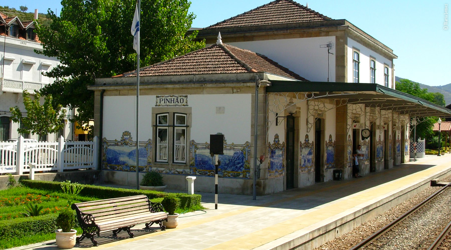 Pinhão