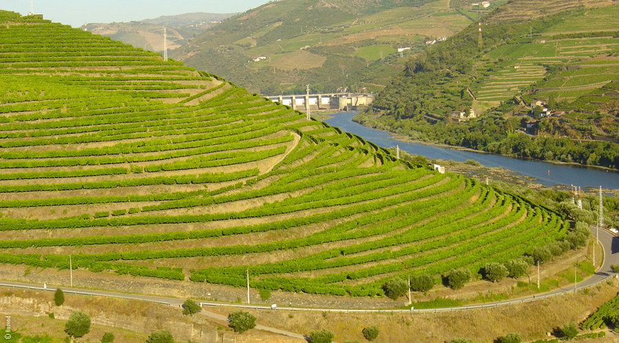 Régua