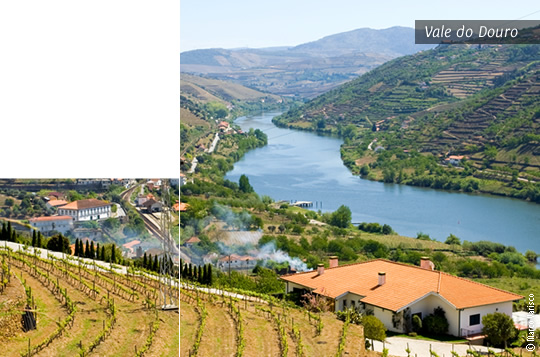 Vale do Douro