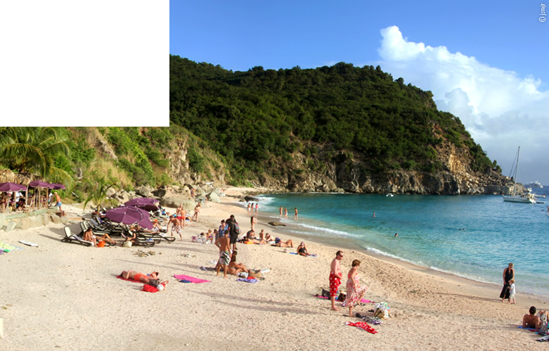 Shell Beach