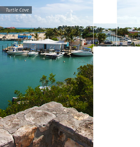 Turtle Cove