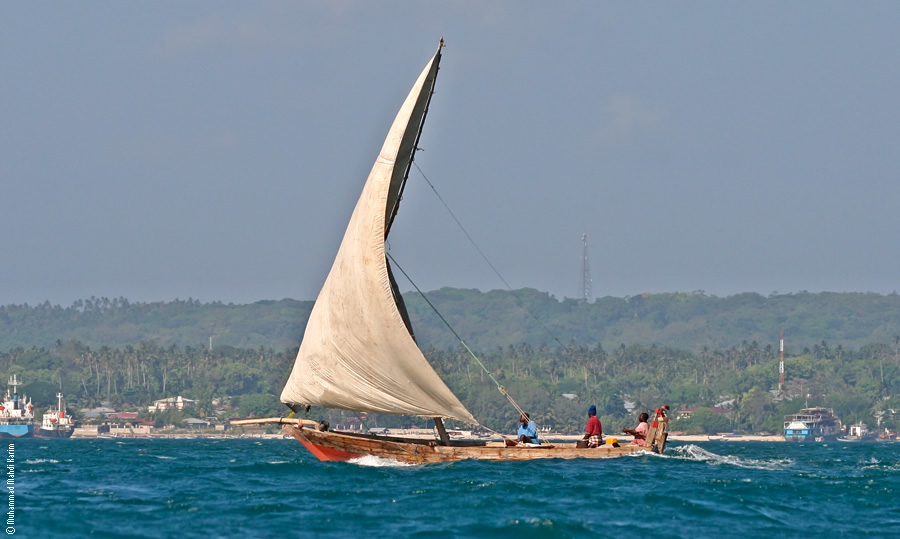 Dhow Cruising
