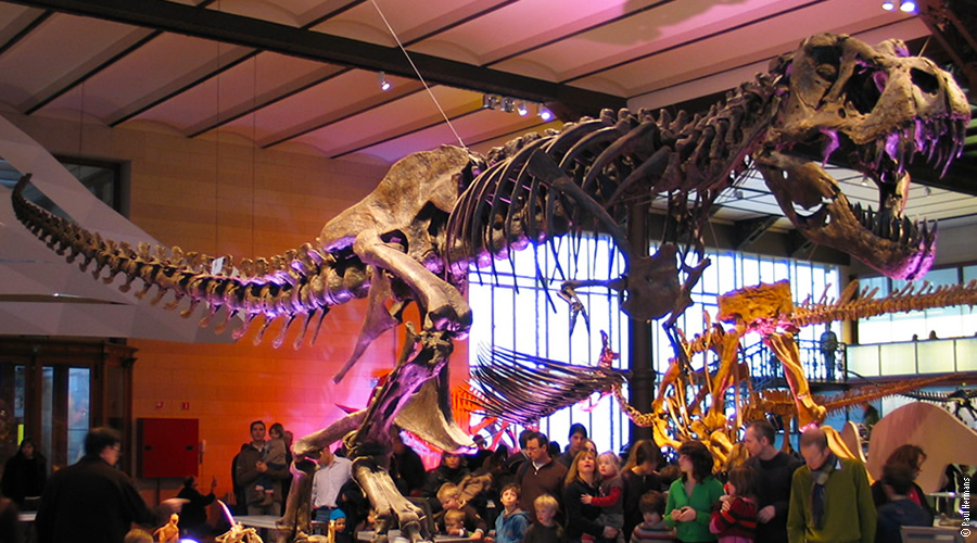 Galeria dos Dinossauros
