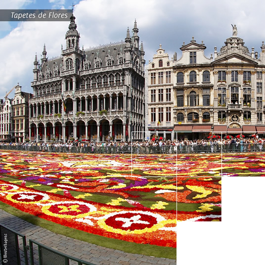 Tapete de Flores Grand Place