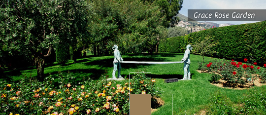 Grace Rose Garden