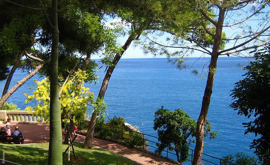 Jardin Exotique