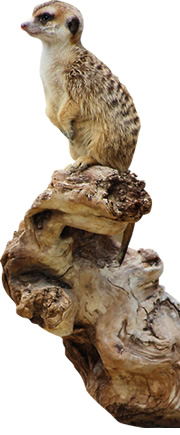 zoo Munique