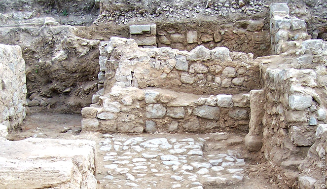 Museu Monogrfico de Puig Molins