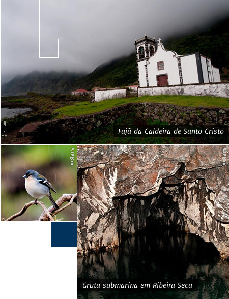 Fajã da Caldeira de Santo Cristo e Gruta submarina em Ribeira Seca