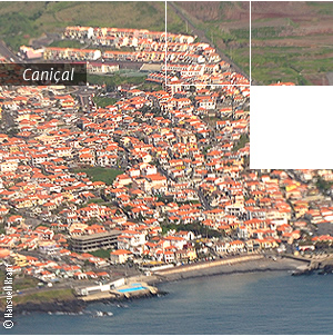 Caniçal