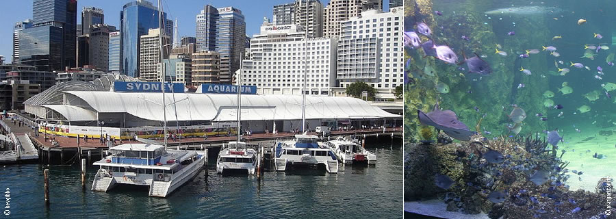 Aquário de Sydney
