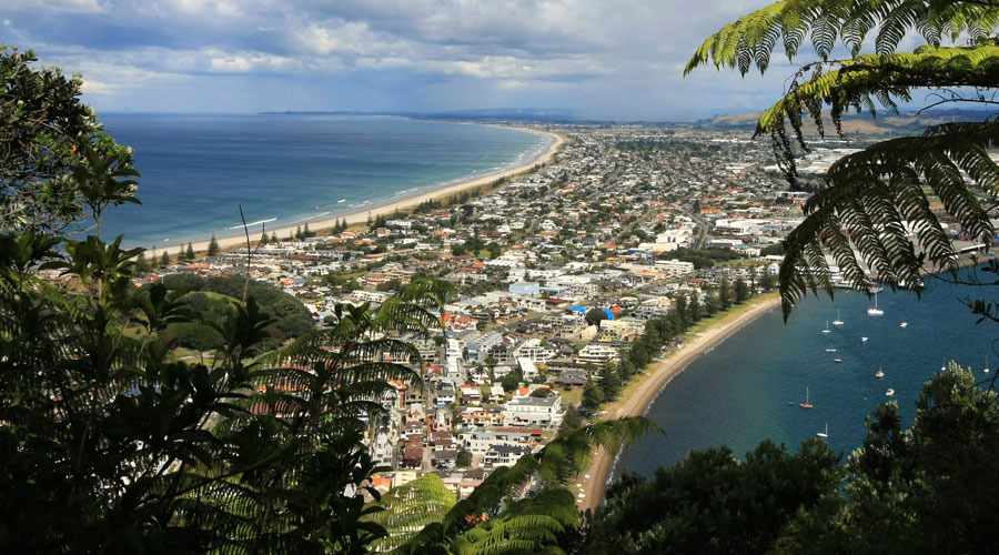 Bay of Plenty