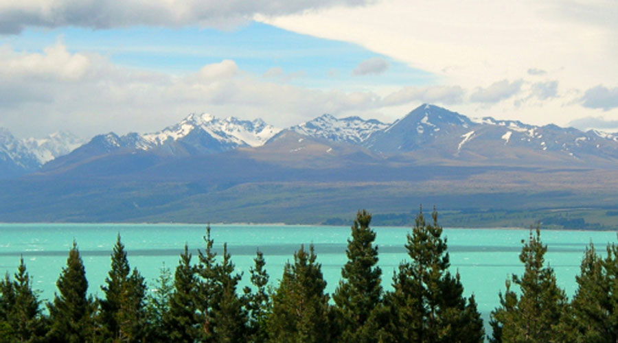 Mt. Cook