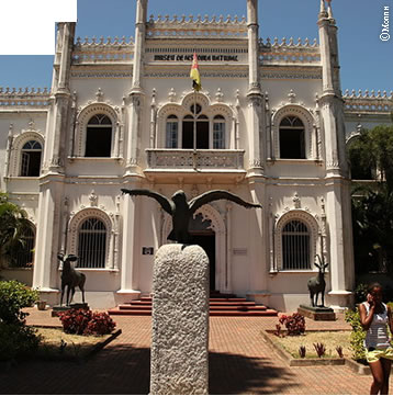 Museu de história natural