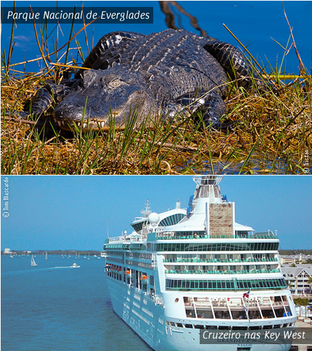 Parque Everglades e cruzeiro a Key West