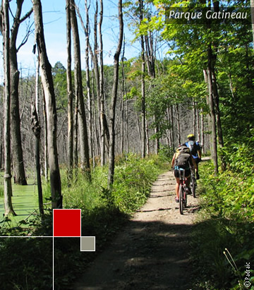 Parque natural Gatineau