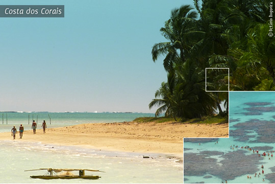 Costa dos Corais