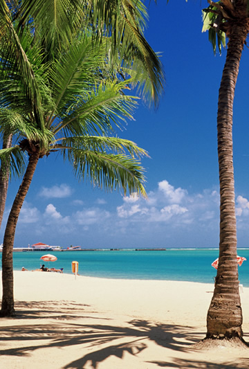 praia em Maceidó