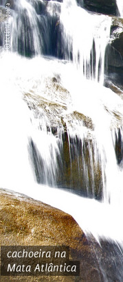 cachoeira na Mata Atlântica