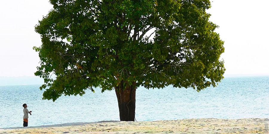 Praia da Lua