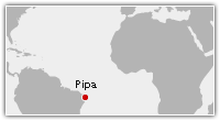 Pipa