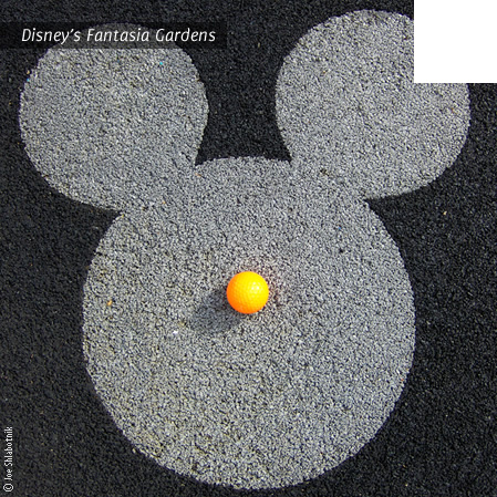 Disney Fantasia Gardens