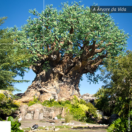 Árvore da Vida no Disney Animal Kingdom