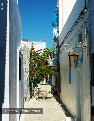 Ruela de Hammamet