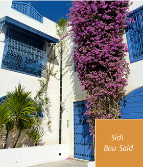 Sidi Bou Said