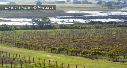 Lakeridge Winery & Vineyards