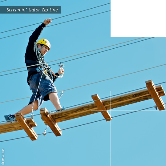 Screamin Gator Zip Line