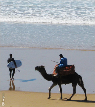 surf em Agadir