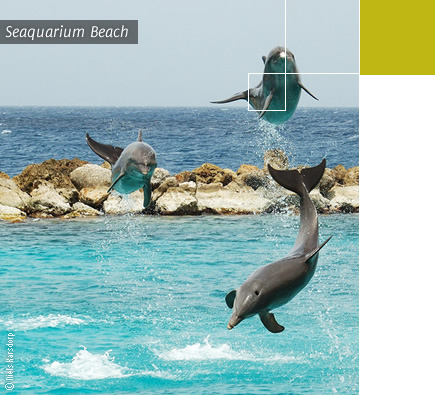 Sequarium Beach
