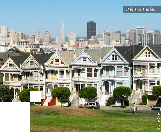 Painted Ladies